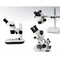 Ciągły mikroskop optyczny Ploidy 4,5x z akcesoriami mikroskopowymi