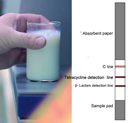 Tetracykliny mleczne + paski testowe na antybiotyki β-laktamowe Szybki test do laboratorium