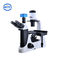 PD100 Trójoczna tuba obserwacyjna Odwrócony mikroskop biologiczny 30 stopni Pochylenie 360 ​​stopni Obrót